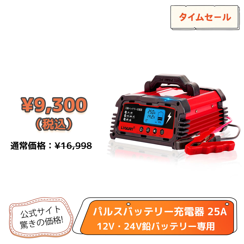LVYUAN 25Aバッテリーパルス充電器 12V/24V対応 – LVYUAN（リョクエン