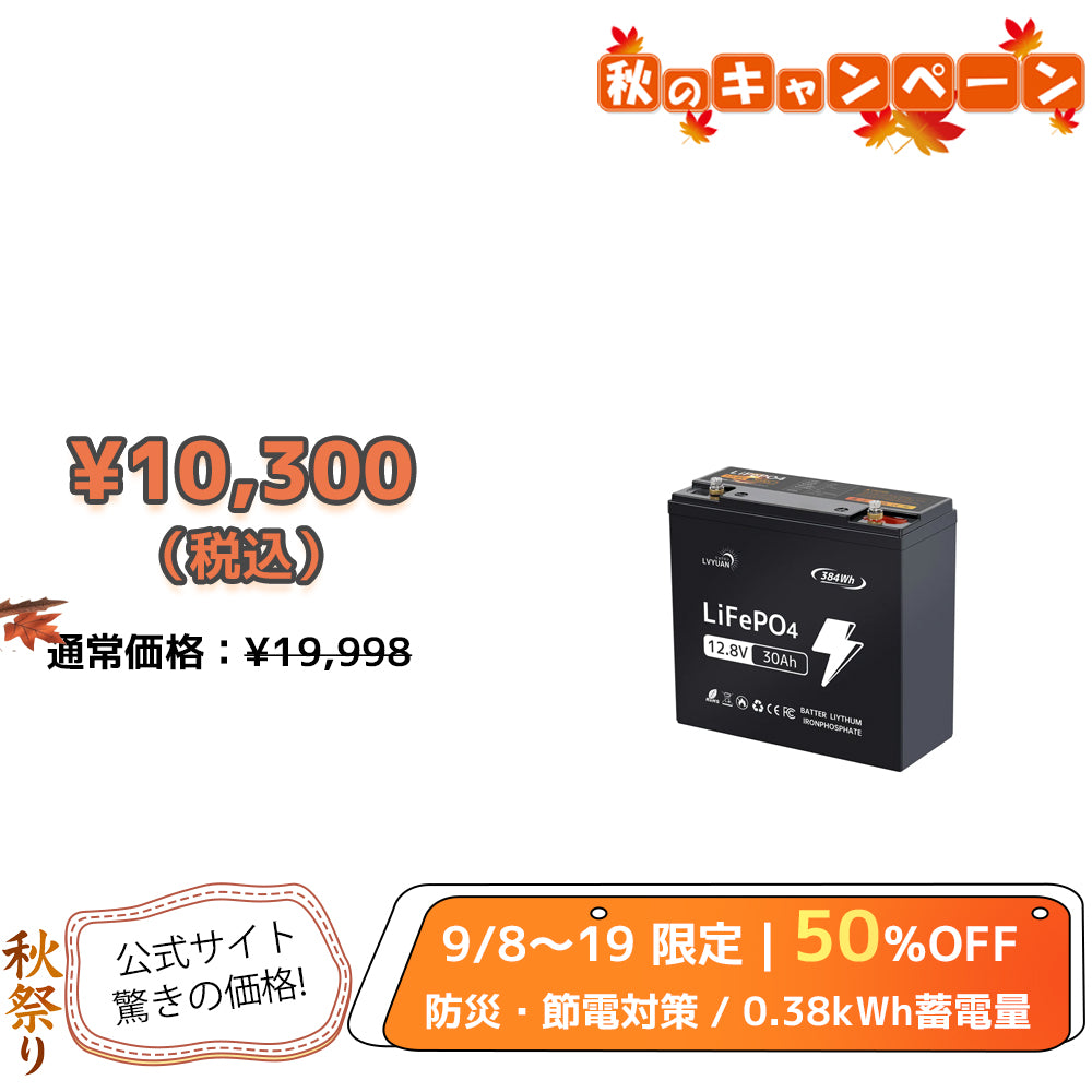 LVYUAN 12.8V/30Ah 384Whリン酸鉄リチウムイオンバッテリー