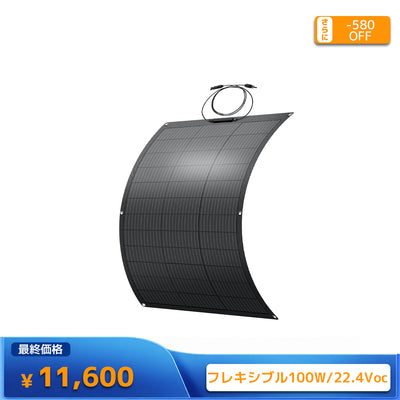LVYUAN 100W ETFEフレキシブルソーラーパネル