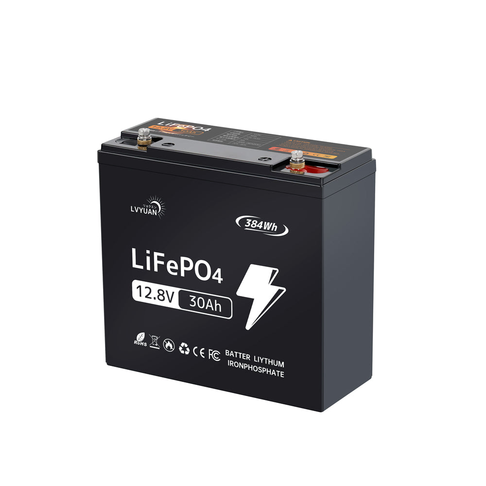 LVYUAN 12.8V/30Ah 384Whリン酸鉄リチウムイオンバッテリー