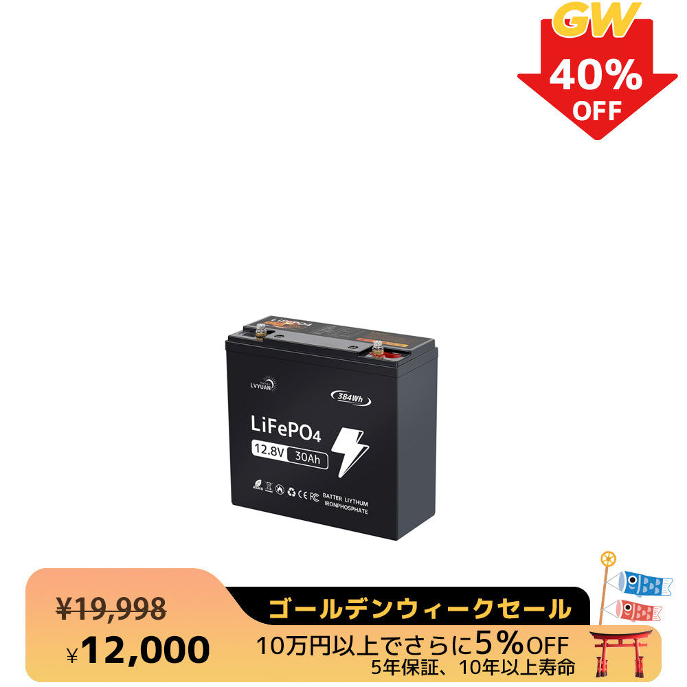 LVYUAN 12.8V/30Ah 384Whリン酸鉄リチウムイオンバッテリー