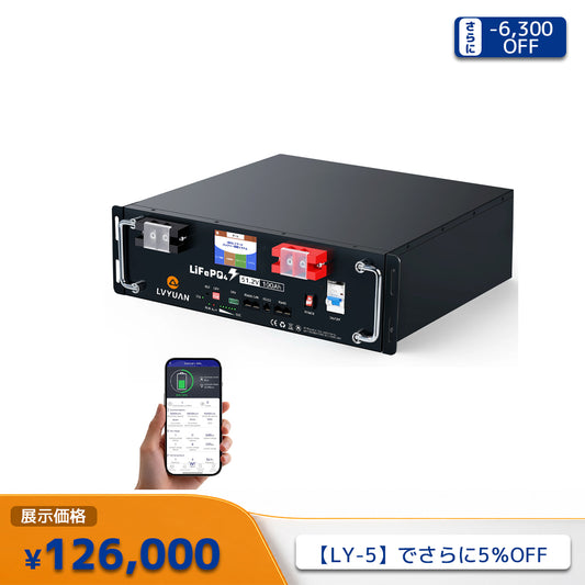 LVYUAN 51.2V/100Ah 5.12kWhリン酸鉄リチウムイオンバッテリー ラック型