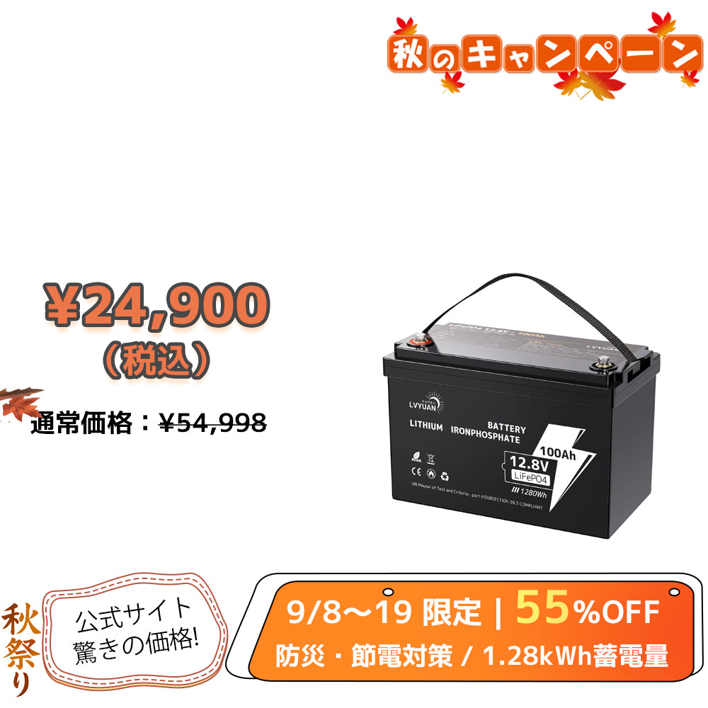 LVYUAN 12.8V/100Ah 1.28kWhリン酸鉄リチウムイオンバッテリー