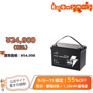 LVYUAN 12.8V/100Ah 1.28kWhリン酸鉄リチウムイオンバッテリー