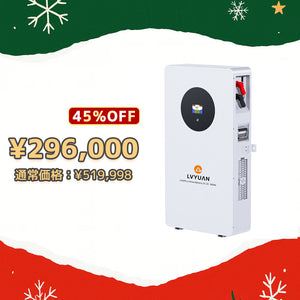LVYUAN 51.2V/200Ah 10.24kWhリン酸鉄リチウムイオンバッテリー