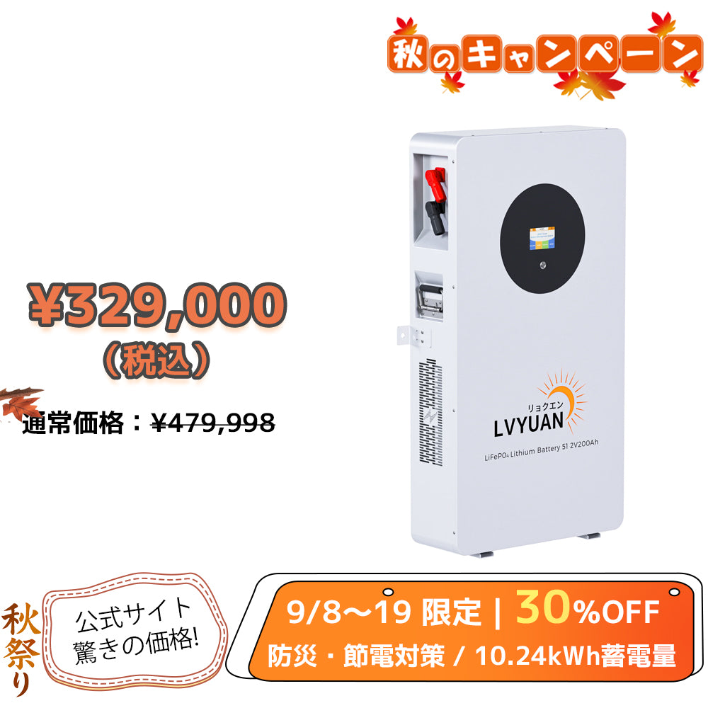 LVYUAN 51.2V/200Ah 10.24kWhリン酸鉄リチウムイオンバッテリー