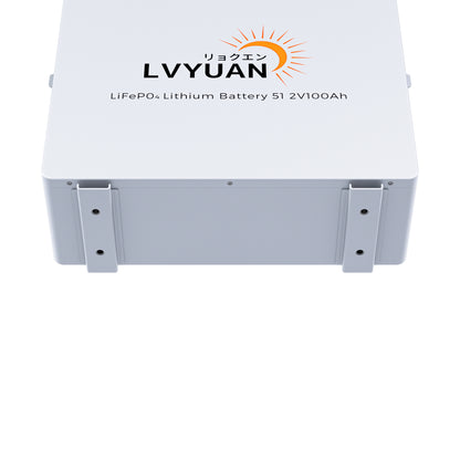 LVYUAN 51.2V/100Ah 5.12kWhリン酸鉄リチウムイオンバッテリー