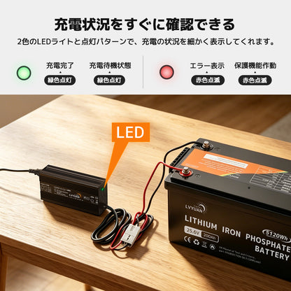 LVYUAN 29.2V 20A リン酸鉄リチウムイオンバッテリー専用充電器