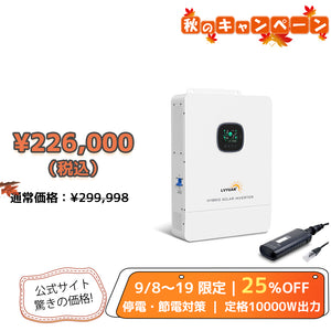 LVYUAN 10KW単相三線式ハイブリッド インバーター