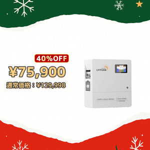 LVYUAN 25.6V/100Ah 2.56kWhリン酸鉄リチウムイオンバッテリー