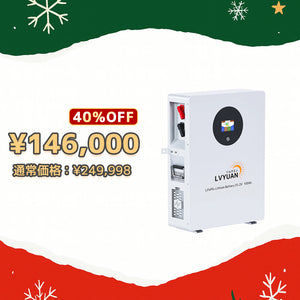 LVYUAN 51.2V/100Ah 5.12kWhリン酸鉄リチウムイオンバッテリー