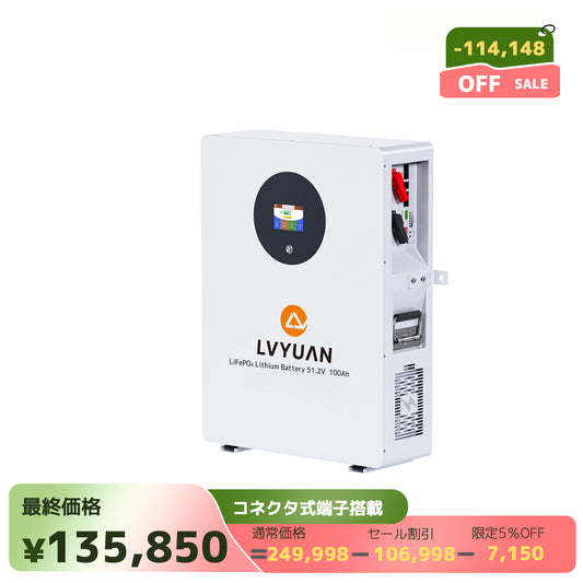 LVYUAN 51.2V/100Ah 5.12kWhリン酸鉄リチウムイオンバッテリー