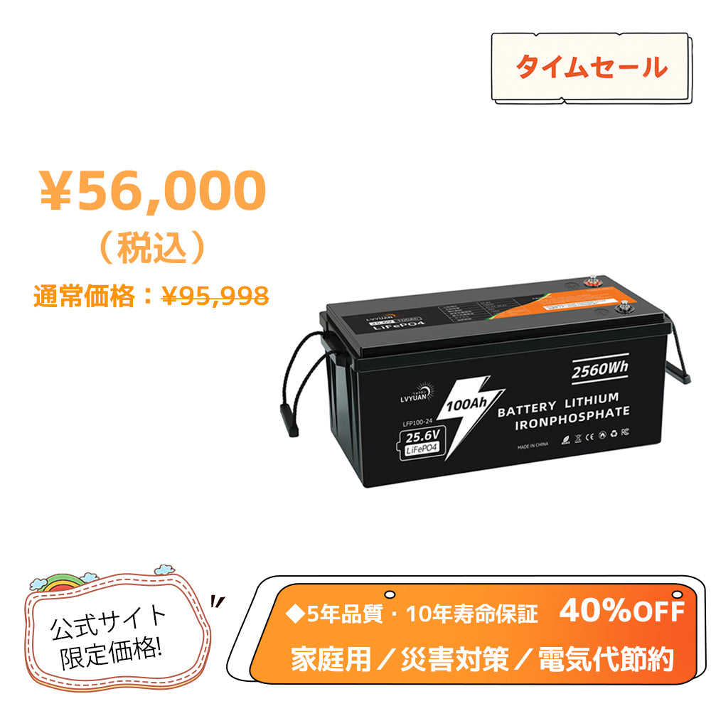 LVYUAN 25.6V/100Ah 2.56kWhリン酸鉄リチウムイオンバッテリー