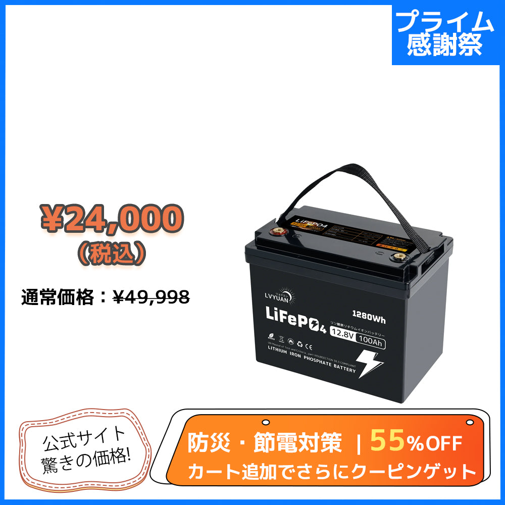 LVYUAN 12.8V/100Ah 1.28kWhリン酸鉄リチウムイオンバッテリー (mini)