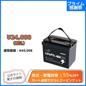 LVYUAN 12.8V/100Ah 1.28kWhリン酸鉄リチウムイオンバッテリー (mini)