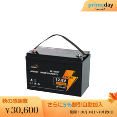 LVYUAN 12.8V/100Ah 1.28kWhリン酸鉄リチウムイオンバッテリー - LVYUAN（リョクエン）公式ショップ