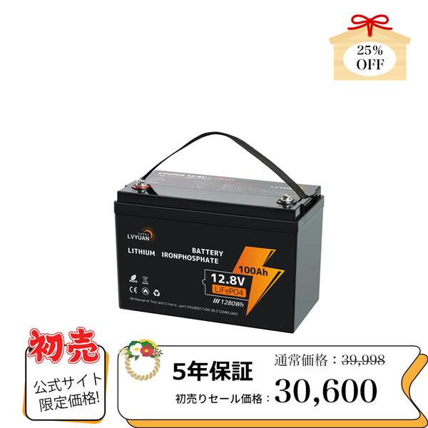 LVYUAN 12.8V/100Ah 1.28kWhリン酸鉄リチウムイオンバッテリー - LVYUAN（リョクエン）公式ショップ