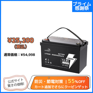 LVYUAN 12.8V/100Ah 1.28kWhリン酸鉄リチウムイオンバッテリー