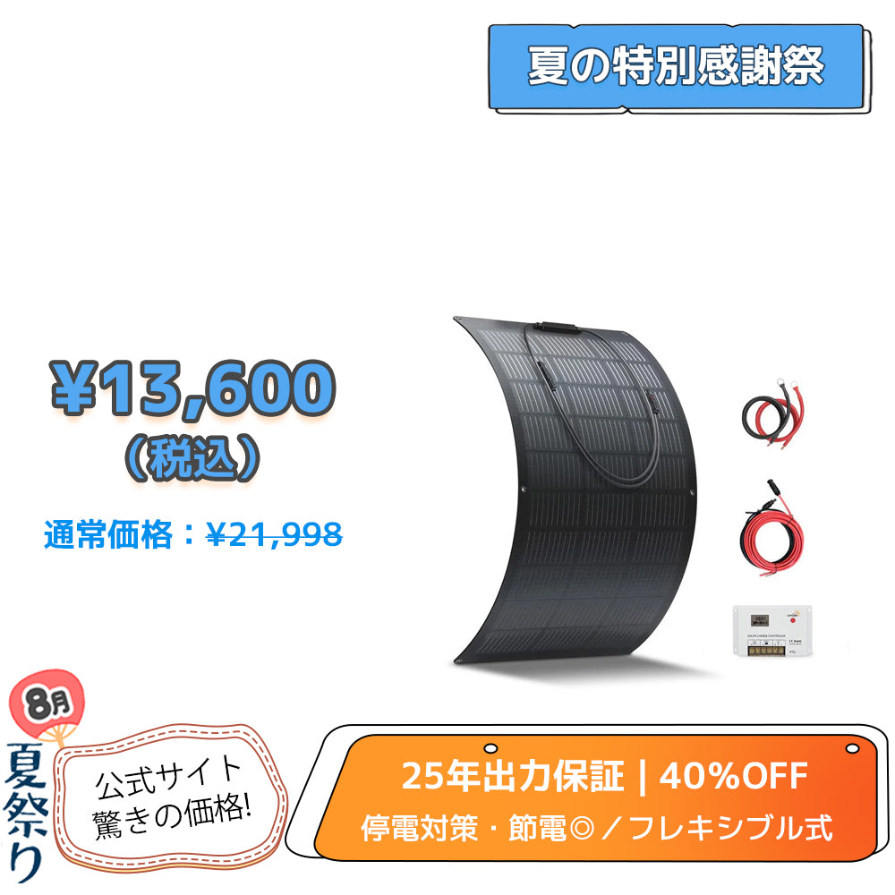 LVYUAN 100W フレキシブルソーラーパネル発電キット