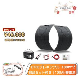 LVYUAN 100W フレキシブルソーラーパネル発電キット