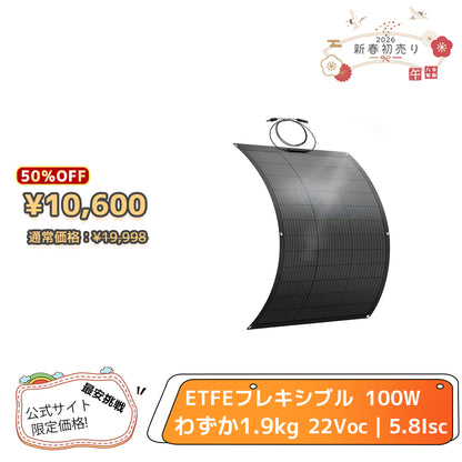 LVYUAN（リョクエン）100W ETFEフレキシブルソーラーパネル