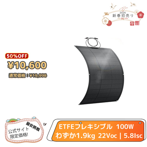 LVYUAN（リョクエン）100W ETFEフレキシブルソーラーパネル