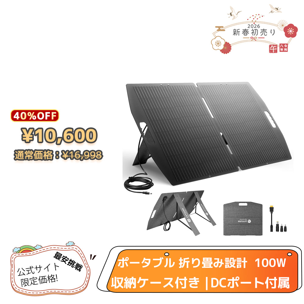 LVYUAN 100W 折り畳み式 ソーラーパネル SPシリーズ
