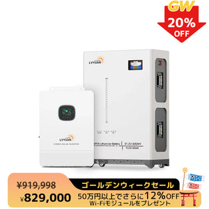 LVYUAN 51.2V（48V）ハイブリッド蓄電システム