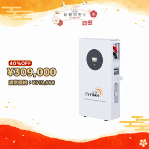 LVYUAN 51.2V/200Ah 10.24kWhリン酸鉄リチウムイオンバッテリー