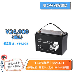 LVYUAN 12.8V/100Ah 1.28kWhリン酸鉄リチウムイオンバッテリー