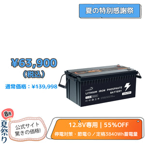 LVYUAN 12.8V/300Ah 3.84kWhリン酸鉄リチウムイオンバッテリー