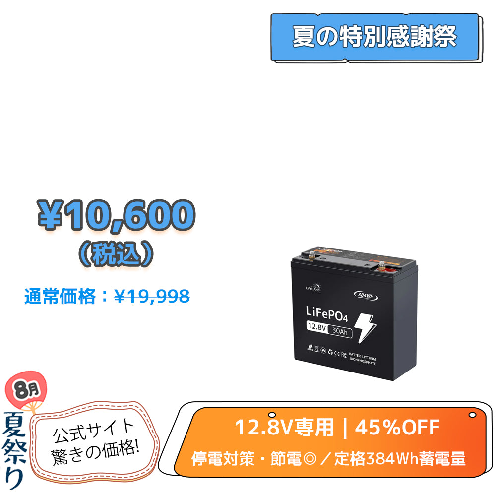 LVYUAN 12.8V/30Ah 384Whリン酸鉄リチウムイオンバッテリー