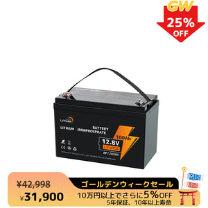 LVYUAN 12.8V/100Ah 1.28kWhリン酸鉄リチウムイオンバッテリー