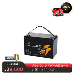 LVYUAN 12.8V/100Ah 1.28kWhリン酸鉄リチウムイオンバッテリー