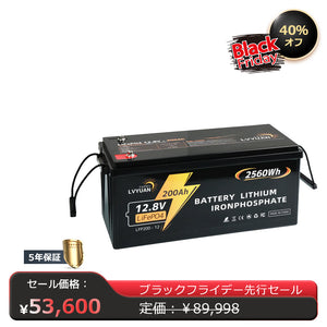 LVYUAN 12.8V/200Ah 2.56kWhリン酸鉄リチウムイオンバッテリー