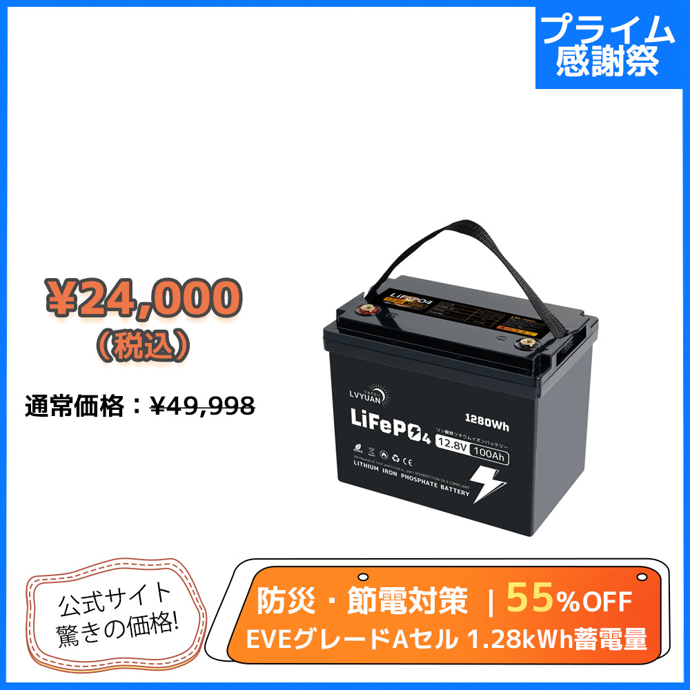 LVYUAN 12.8V/100Ah 1.28kWhリン酸鉄リチウムイオンバッテリー (mini)