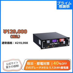 LVYUAN 51.2V/100Ah 5.12kWhリン酸鉄リチウムイオンバッテリー ラック型