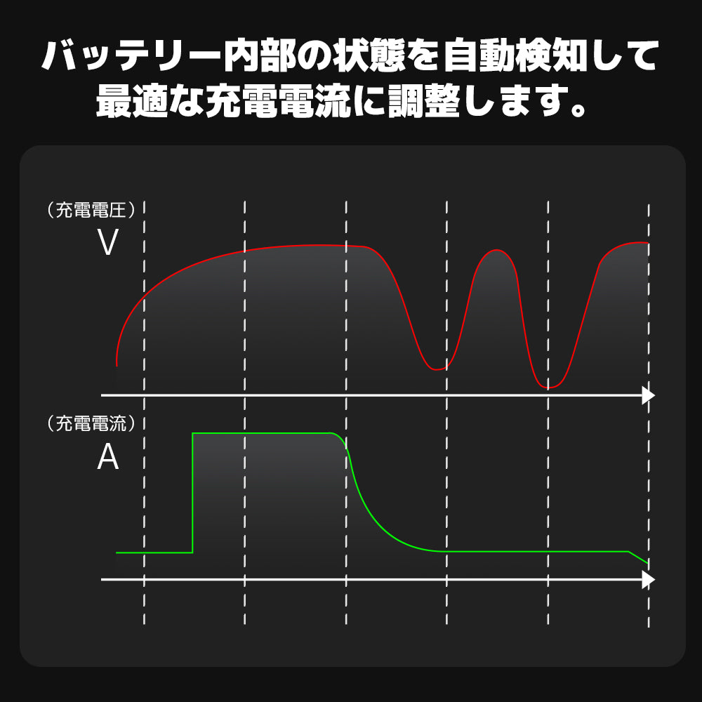 LVYUAN 25Aバッテリーパルス充電器 12V/24V対応 - LVYUAN（リョクエン）公式ショップ