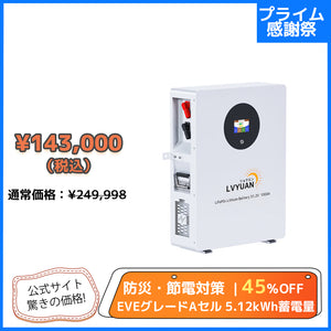 LVYUAN 51.2V/100Ah 5.12kWhリン酸鉄リチウムイオンバッテリー
