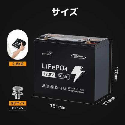 LVYUAN 12.8V/30Ah 384Whリン酸鉄リチウムイオンバッテリー