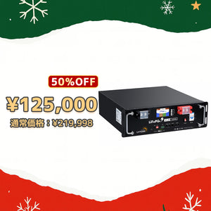 LVYUAN 51.2V/100Ah 5.12kWhリン酸鉄リチウムイオンバッテリー ラック型