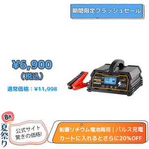 LVYUAN パルスバッテリー充電器 15A  12V・24V鉛蓄 / 12.8Vリチウム電池両用