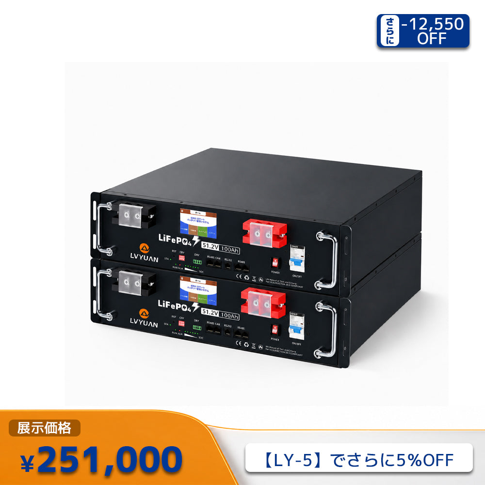 LVYUAN 51.2V/100Ah 5.12kWhリン酸鉄リチウムイオンバッテリー ラック型