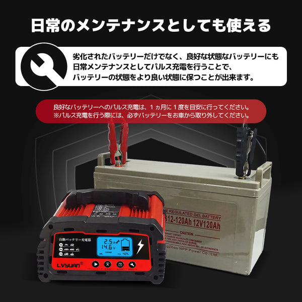 LVYUAN 25Aバッテリーパルス充電器 12V/24V対応 - LVYUAN（リョクエン）公式ショップ