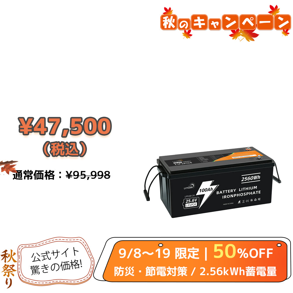 LVYUAN 25.6V/100Ah 2.56kWhリン酸鉄リチウムイオンバッテリー