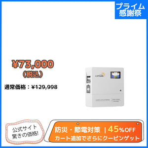 LVYUAN 25.6V/100Ah 2.56kWhリン酸鉄リチウムイオンバッテリー