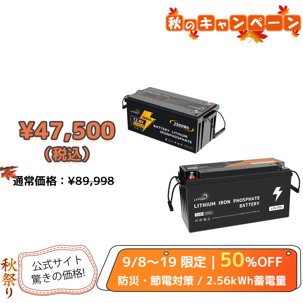 LVYUAN 12.8V/200Ah 2.56kWhリン酸鉄リチウムイオンバッテリー