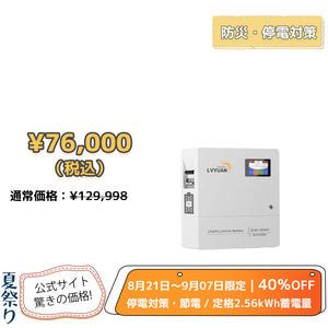 LVYUAN 25.6V/100Ah 2.56kWhリン酸鉄リチウムイオンバッテリー