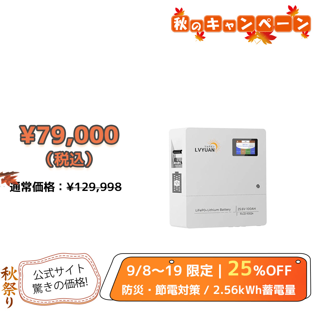 LVYUAN 25.6V/100Ah 2.56kWhリン酸鉄リチウムイオンバッテリー