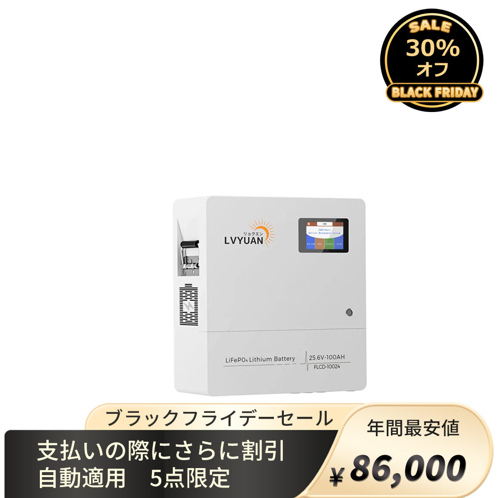 LVYUAN 25.6V/100Ah 2.56kWhリン酸鉄リチウムイオンバッテリー - LVYUAN（リョクエン）公式ショップ